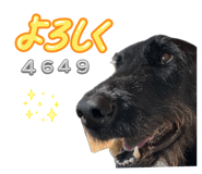 882155814