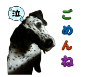 882155819