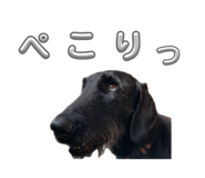 882155820