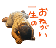 882155866