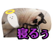 882158340