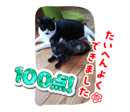882158348