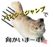 882158365