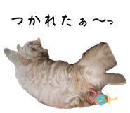 882158382