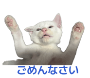 882158965