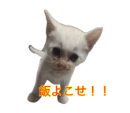 882158983