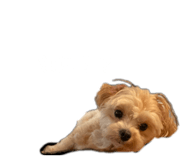 882159045