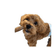 882159046
