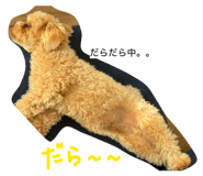 882159087