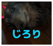 882159412
