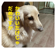 882159423