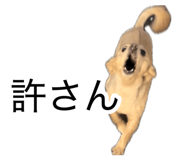 882159716