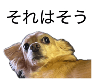 882159725