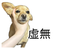 882159726