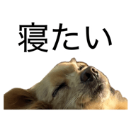 882159732
