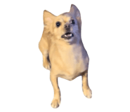 882159751