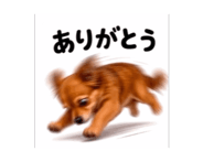 882159854