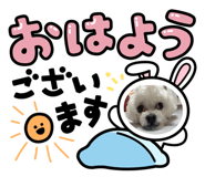 882163684