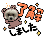 882163686