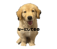 882165018
