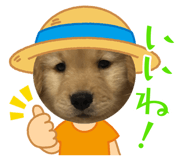 882165020