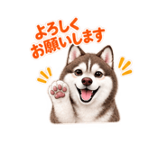 882168222
