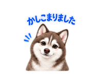 882168223