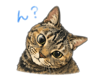 882169586
