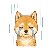 882180911