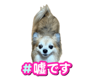 882182681