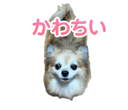 882182684