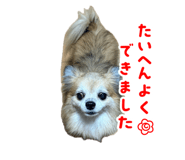 882182694