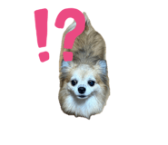 882182696