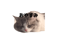 882183538