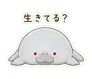 882203055
