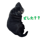 882210388