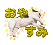 882211241