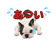 882211252