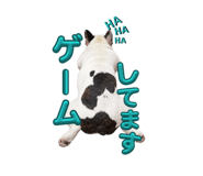 882211253