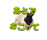 882211254