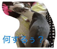 882212173