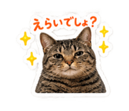 882212588