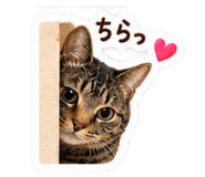 882212591