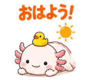 882214305