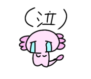 882218079