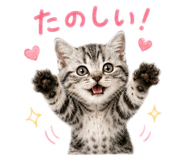 882218817