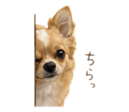 882222024