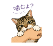 882224186