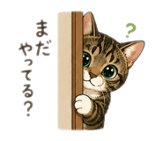 882224205