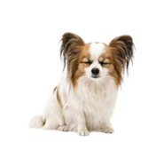 882226659